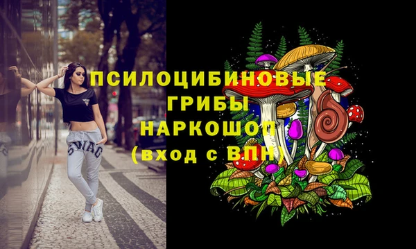 спайс Лабытнанги