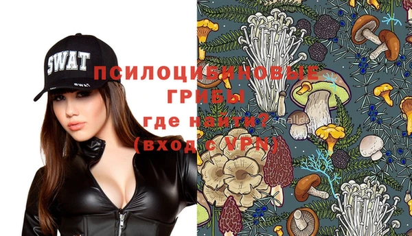 ПСИЛОЦИБИНОВЫЕ ГРИБЫ Лихославль