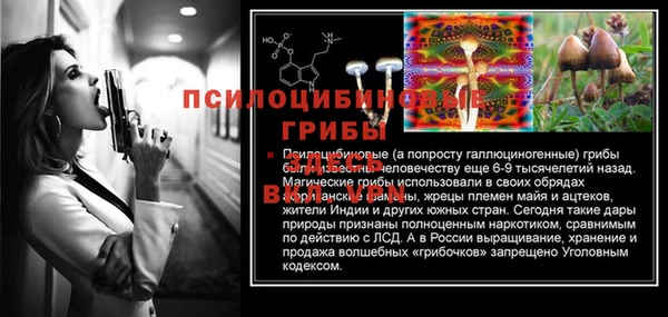 спайс Лабытнанги