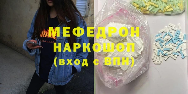 индика Новодвинск