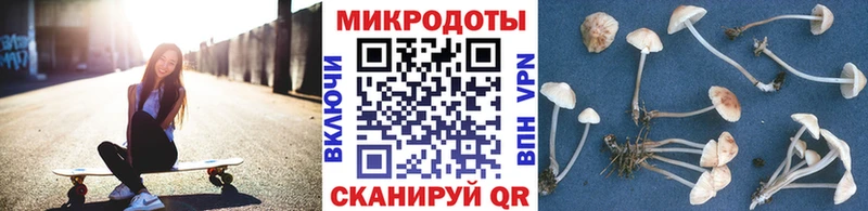 мега как войти  Порхов  Псилоцибиновые грибы GOLDEN TEACHER  наркотики 
